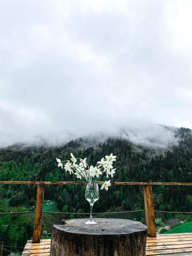 Mitarbi Silence - Cozy Holiday Cottages In Mountains Боржоми Экстерьер фото