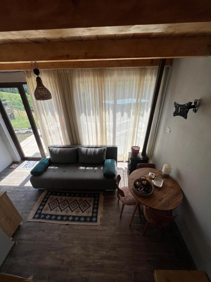 Mitarbi Silence - Cozy Holiday Cottages In Mountains Боржоми Экстерьер фото