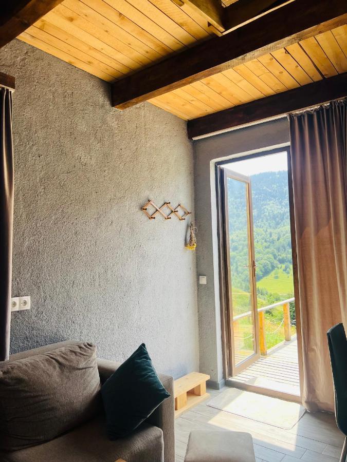 Mitarbi Silence - Cozy Holiday Cottages In Mountains Боржоми Экстерьер фото