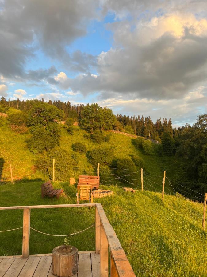 Mitarbi Silence - Cozy Holiday Cottages In Mountains Боржоми Экстерьер фото
